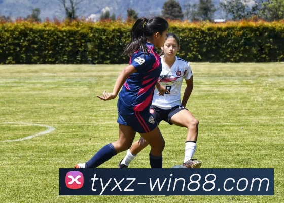 体育下注平台APP 高清赛事图